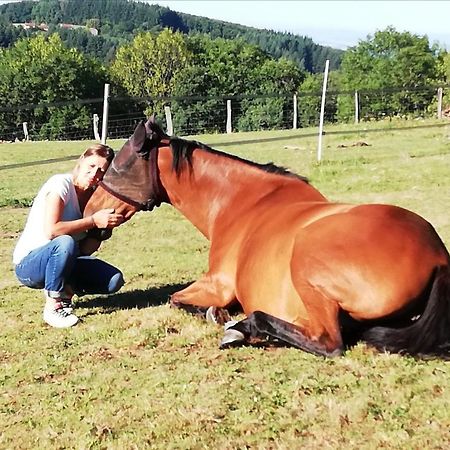 Chambre D'Hote Equestre Au Petit Bonheur Chateldon Eksteriør billede
