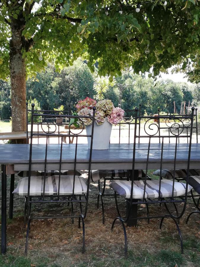 Chambre D'Hote Equestre Au Petit Bonheur Chateldon Eksteriør billede