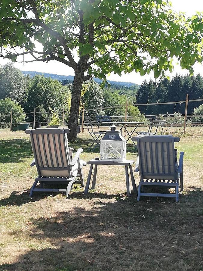 Chambre D'Hote Equestre Au Petit Bonheur Chateldon Eksteriør billede